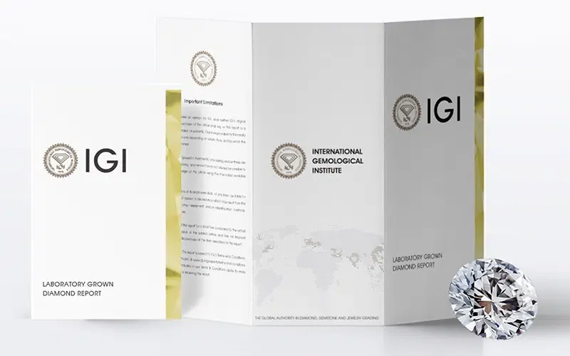 Official IGI Tri-Fold Report Presentation Folder with Loose Diamond Specimen